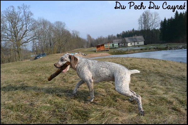 Just for me du Pech du Cayrol