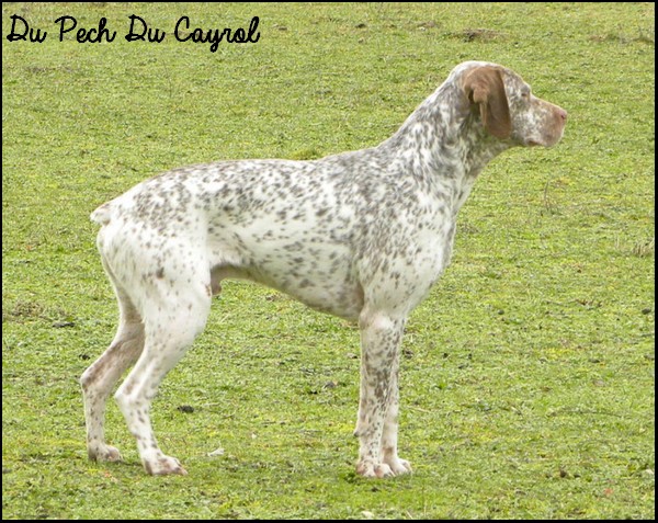 C'trobo du Pech du Cayrol