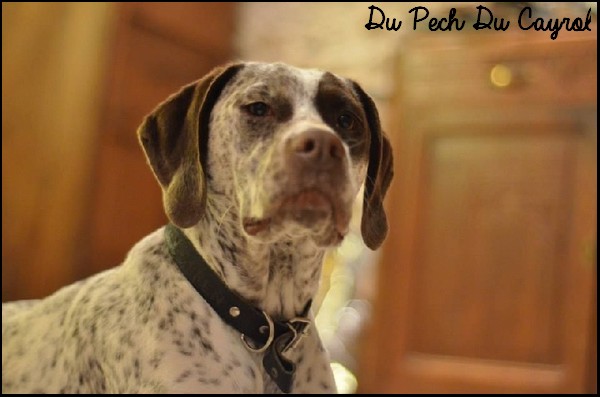 Indy du Pech du Cayrol