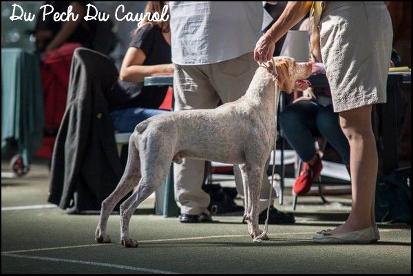 In vivo veritas dit bruno du Pech du Cayrol