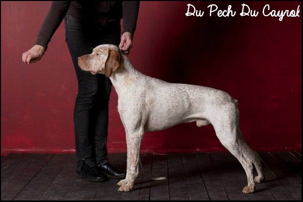 It's the best dit best du Pech du Cayrol